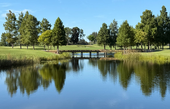 SteveAloha_RecommendedVenue_5_RosenShingleCreek