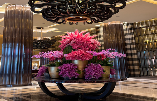 SteveAloha_RecommendedVenue_6_Nuwa